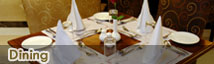 Hotels in Jaipur, Executive Jaipur Hotels, Boutique Hotels in Jaipur, India, Holiday in Jaipur, Hotel Packages Jaipur, 